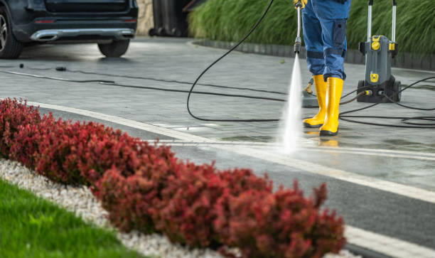 Best Driveway Pressure Washing  in Oxford, PA
